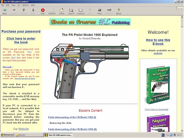 FN pistol