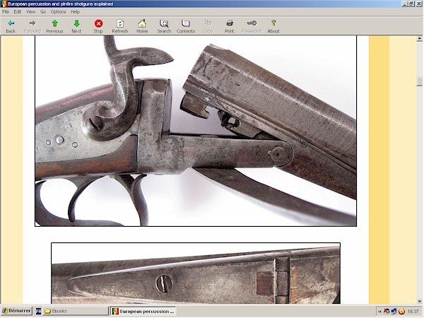 Percussion and pinfire shotguns